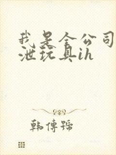 我是全公司的发泄玩具ih