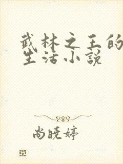 武林之王的退隐生活小说