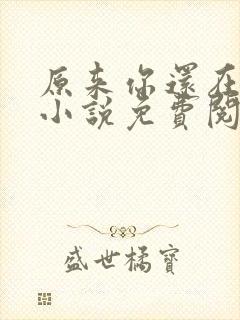 原来你还在这里小说免费阅读