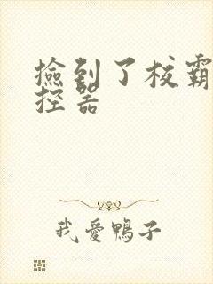 捡到了校霸的遥控器