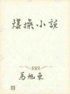 爆操小说
