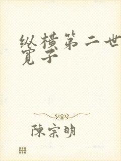 纵横第二世界 宽子