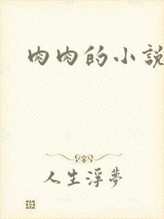 肉肉的小说