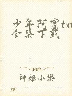 少年阿宾txt全集下载