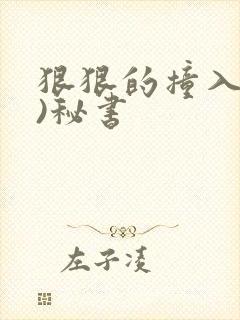 狠狠的撞入(h)秘书