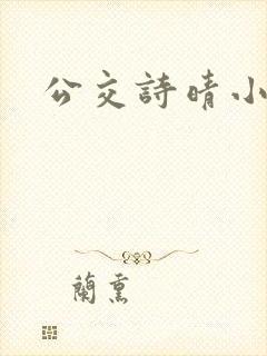 公交诗晴小说