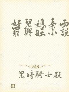 好儿媳秦雨罗明罗兴旺小说