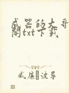 成器的大哥笔趣阁txt下载