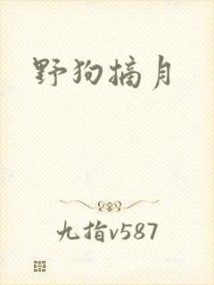 野狗摘月