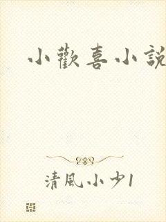 小欢喜小说