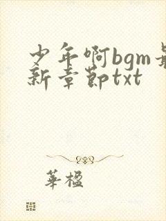 少年啊bgm最新章节txt