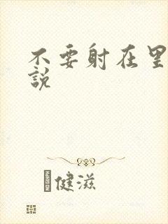 不要射在里面小说