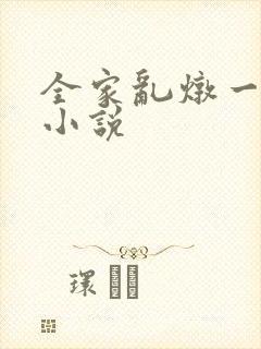 全家乱炖一锅烩小说