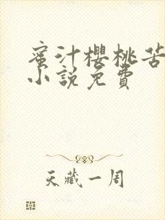 蜜汁樱桃苦咖啡小说免费