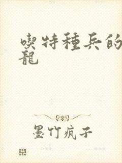 吃特种兵的大黑龙