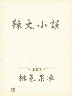 辣文小说