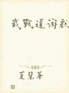 武战道游戏