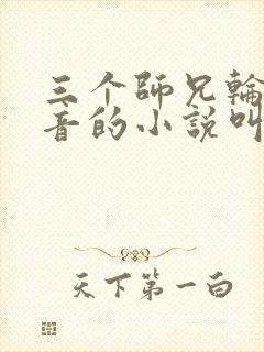 三个师兄轮流上音的小说叫什么