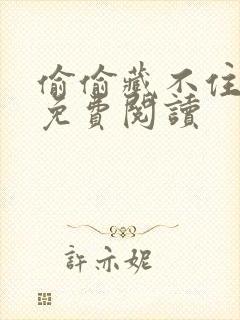 偷偷藏不住小说免费阅读