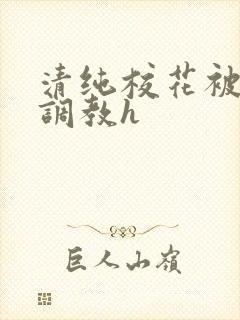 清纯校花被地狱调教h