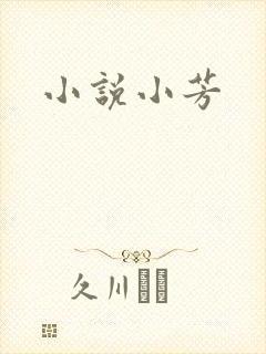 小说小芳
