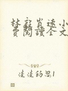 林毅肖远小说免费阅读全文最新章节