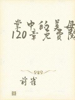 掌中的美母版主120章免费阅读
