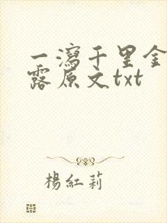 一泻千里金银花露原文txt