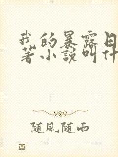 我的暴露日记原著小说叫什么