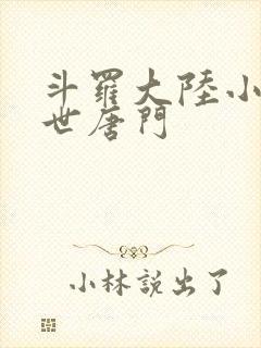 斗罗大陆小说绝世唐门