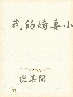 我的娇妻小说