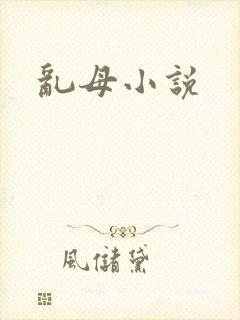 乱母小说