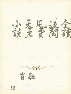 小天风流全集小说免费阅读