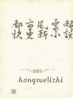 都市风云超前超快更新小说