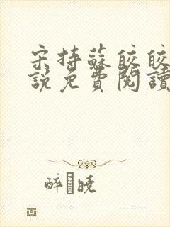 宋持苏皎皎的小说免费阅读