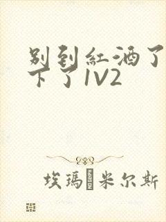 别到红酒了装不下了1V2