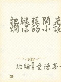 把腿张开老子臊烂你的小说