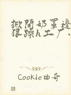 掀开奶罩边躁狠狠躁h工厂小说