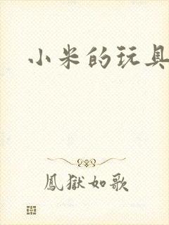 小米的玩具日记