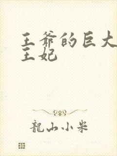 王爷的巨大进入王妃