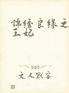 锦绣良缘之北地王妃