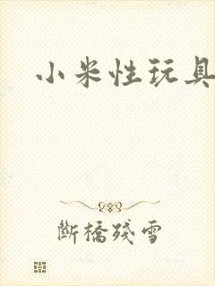 小米性玩具日记