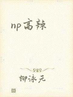 np高辣