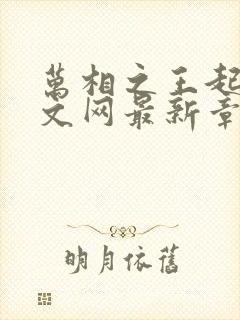 万相之王起点中文网最新章节