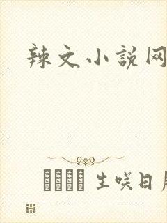 辣文小说网