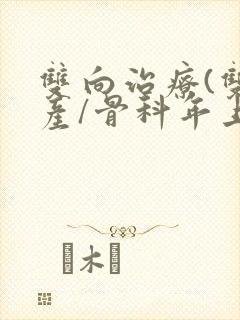 双向治疗(双/产/骨科年上)