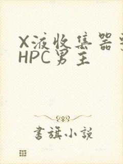 X液收集器系统HPC男主