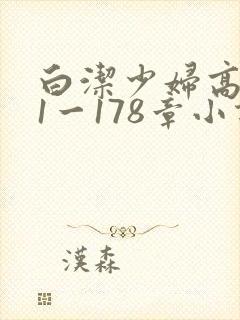 白洁少妇高义第1一178章小说