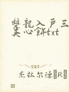 双龙入户三人行夹心饼txt