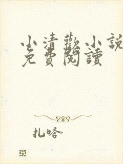 小清欢小说全文免费阅读